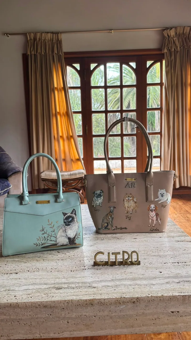 Bolso pintado a mano - gato y perros
